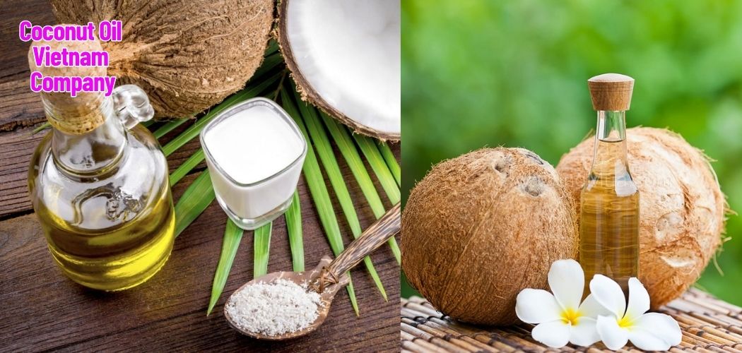Coconut Oil Vietnam Company